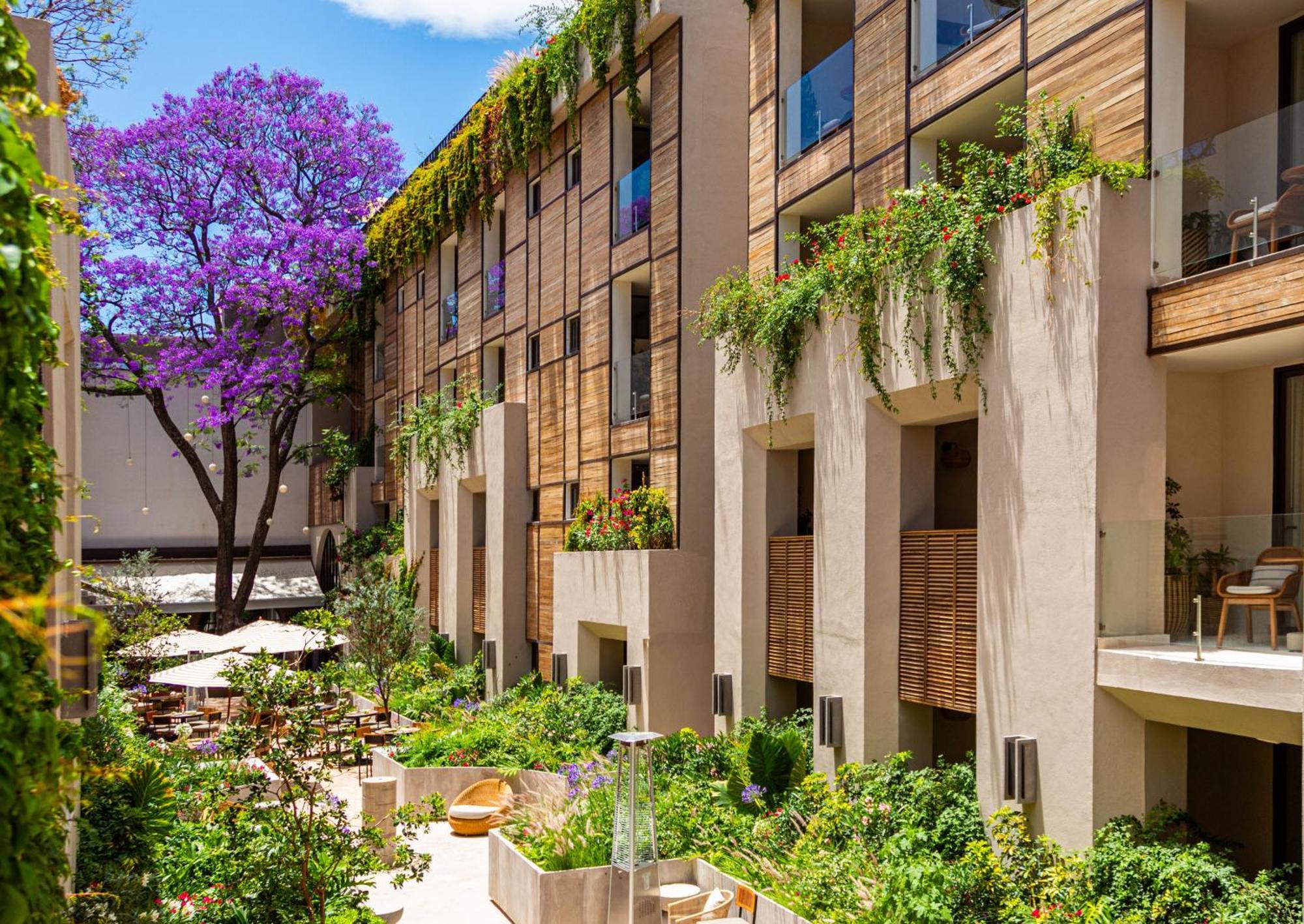 Numu Boutique Hotel, The Unbound Collection By Hyatt San Miguel de Allende Exterior photo